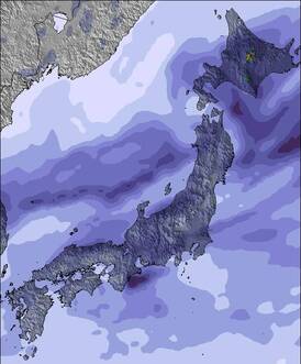 Japan Sněžná mapa (3 dní)