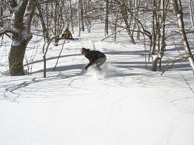 Appalachian Ski Mountain photo
