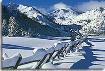 Donner Ski Ranch photo