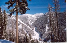Montana Snowbowl photo