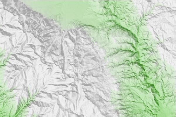 @{@location.name} neighbourhood basemap