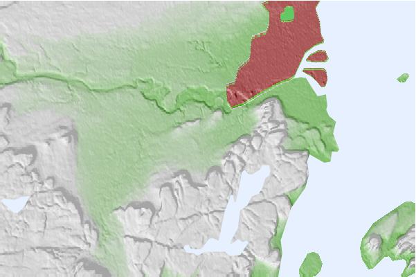 @{@location.name} neighbourhood basemap