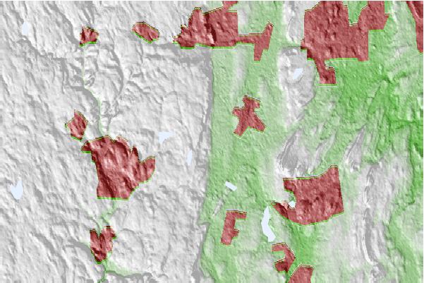 @{@location.name} neighbourhood basemap