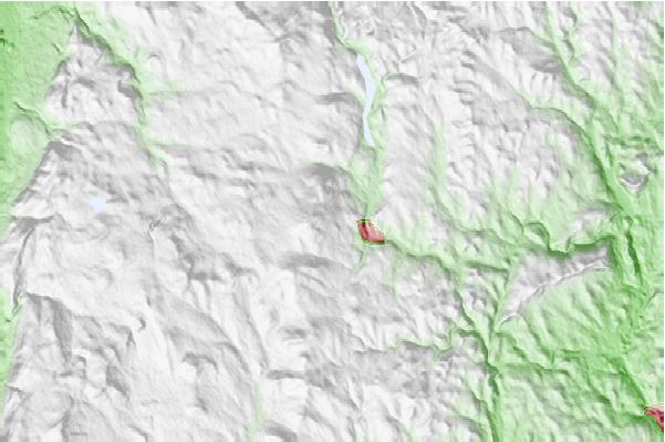 @{@location.name} neighbourhood basemap