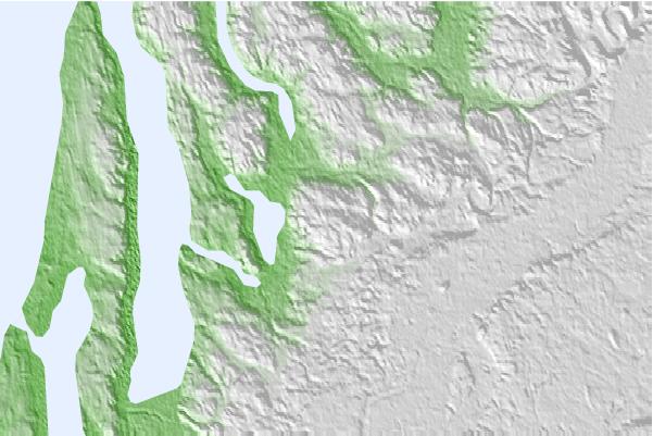 @{@location.name} neighbourhood basemap