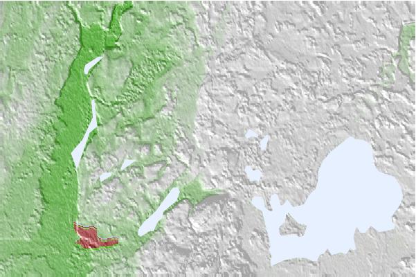 @{@location.name} neighbourhood basemap