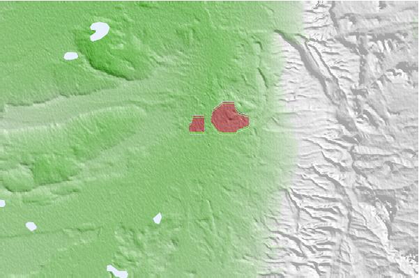@{@location.name} neighbourhood basemap