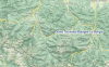 Local Map