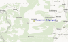 Streetview Map