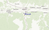 Streetview Map