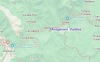 Streetview Map