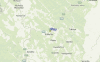 Local Map