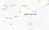 Local Map